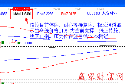 000663 永安林業(yè)股票分析