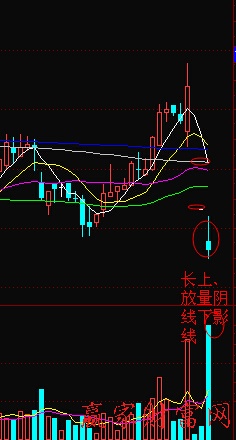 宜賓紙業(yè)