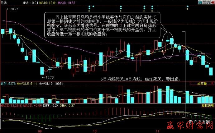 兩只烏鴉