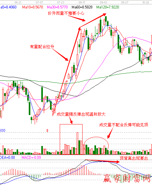 000564西安民生