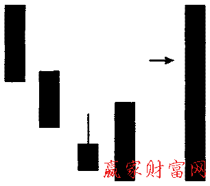 藏嬰吞沒(méi)形態(tài)的簡(jiǎn)化