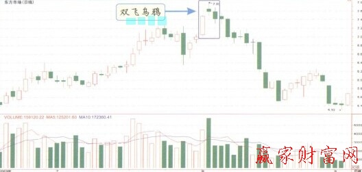 雙飛烏鴉