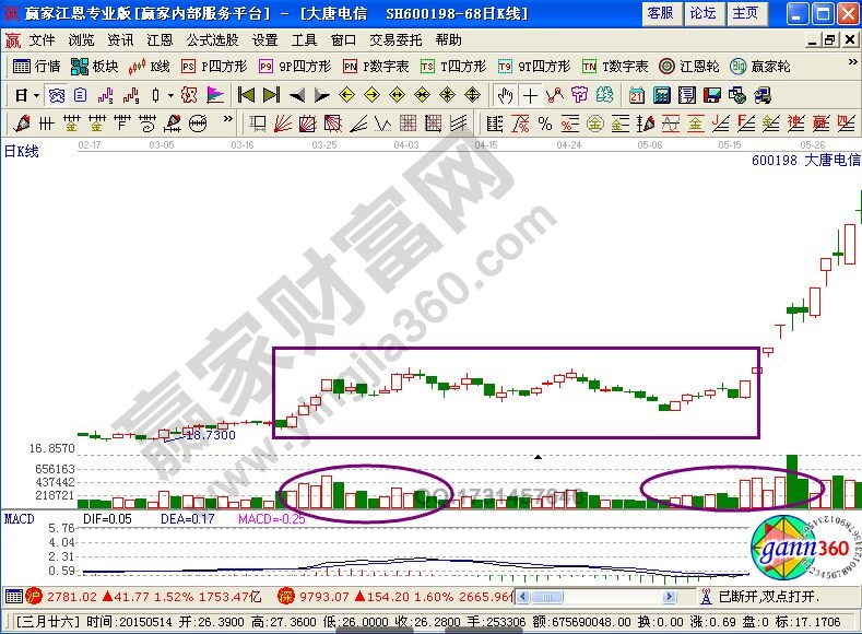 大唐電信形態(tài)分析