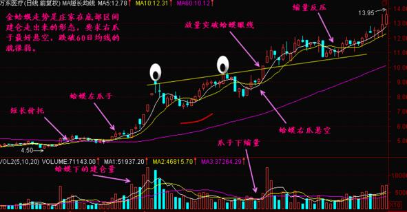 金蛤蟆形態(tài)實(shí)戰(zhàn)教程