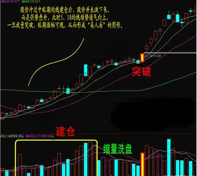 美人肩形態(tài)圖解