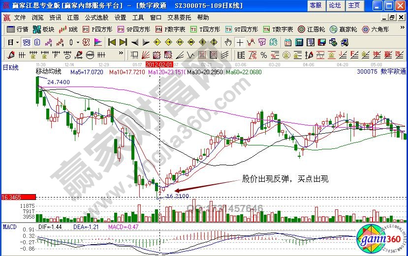 數字政通反彈