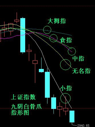 九陰白骨爪形態(tài)