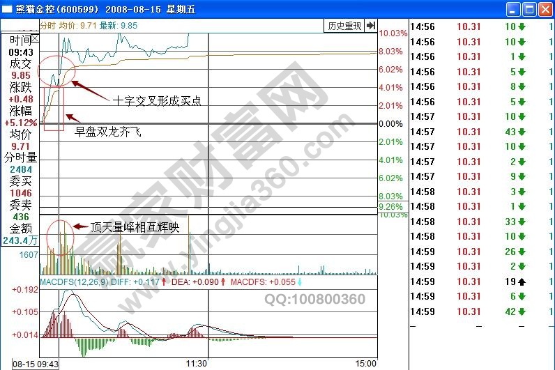 熊貓金控600599