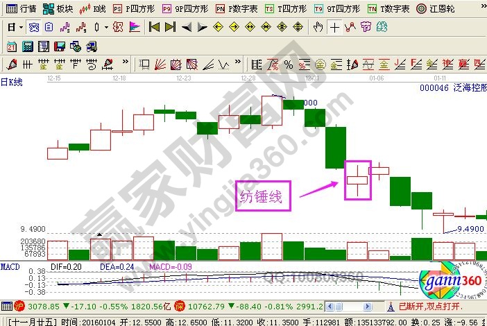 紡錘線是什么