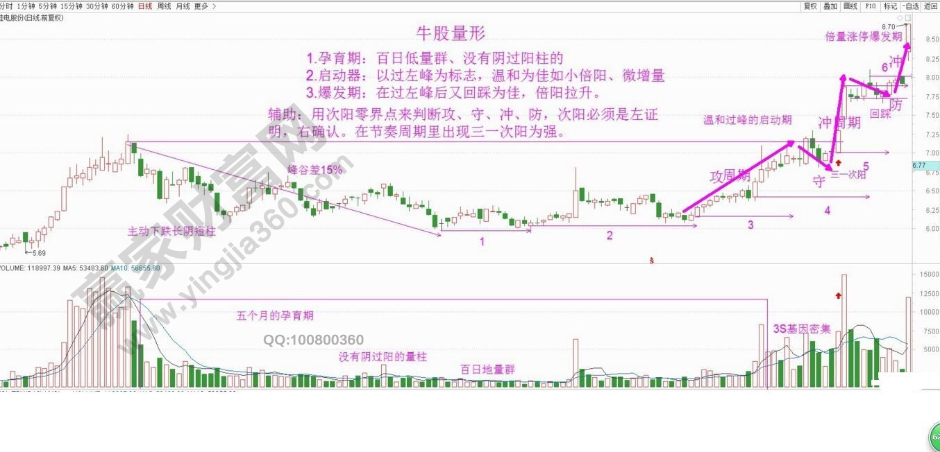 牛股量形佳電股份