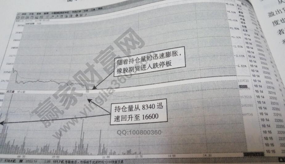 持倉放大100%跌停板