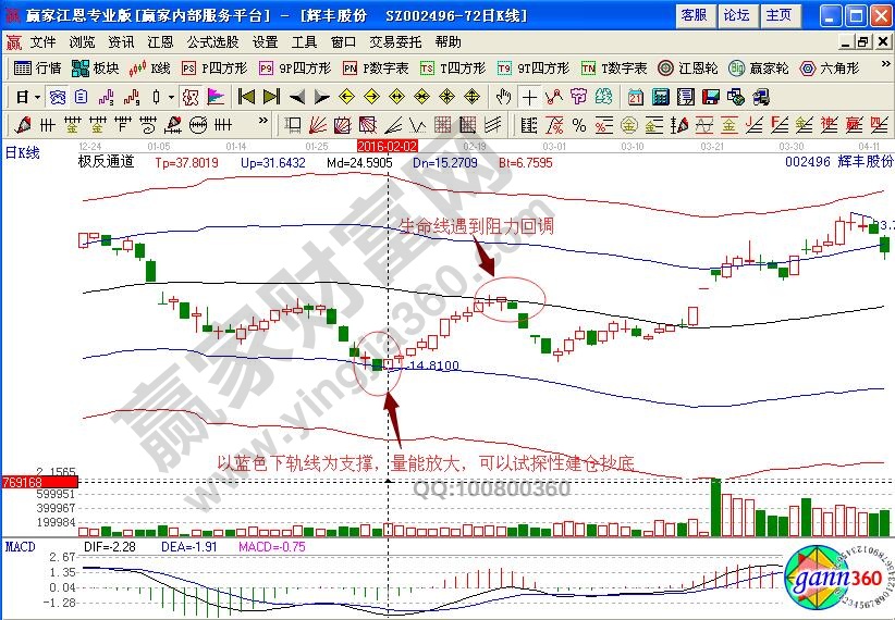 輝豐股份極反通道