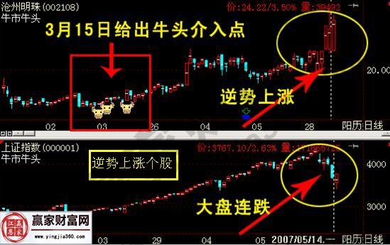 逆勢上漲的股票走勢