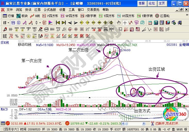 金螳螂走勢圖