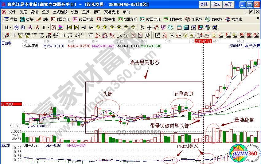 藍(lán)光發(fā)展扁頭黑馬形態(tài)