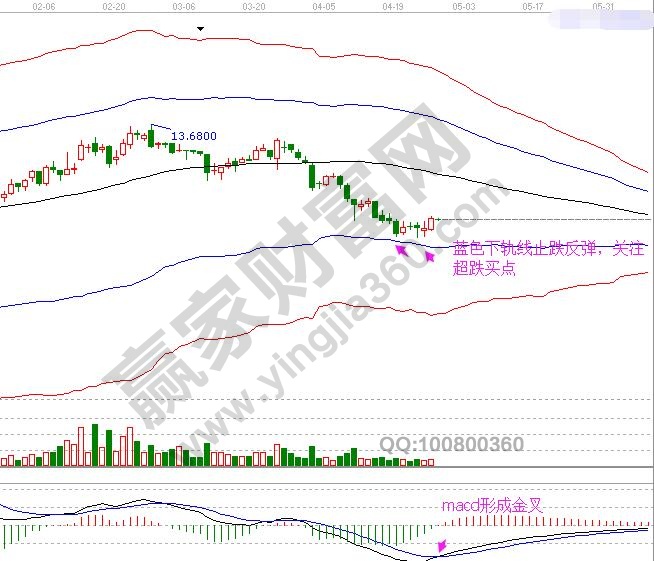 金楓酒業(yè) 極反通道圖