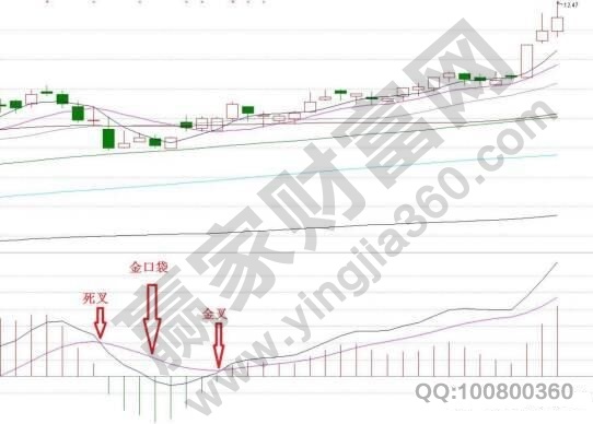 macd金口袋.jpg