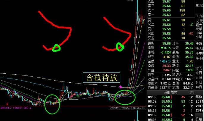 含苞待放走勢(shì).jpg