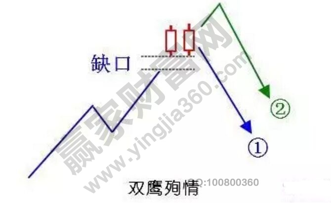 雙鷹殉情形態(tài).jpg