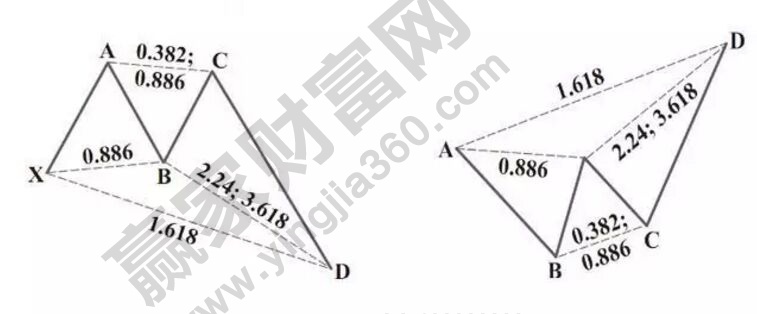 深海螃蟹模型.jpg