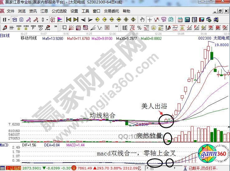 太陽(yáng)電纜.jpg