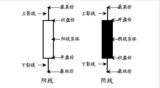 陽線和陰線