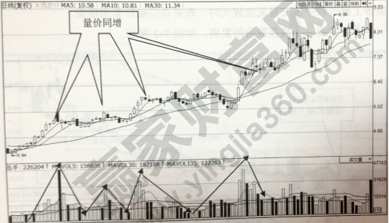 連環(huán)山丘獵殺強(qiáng)勢(shì)股