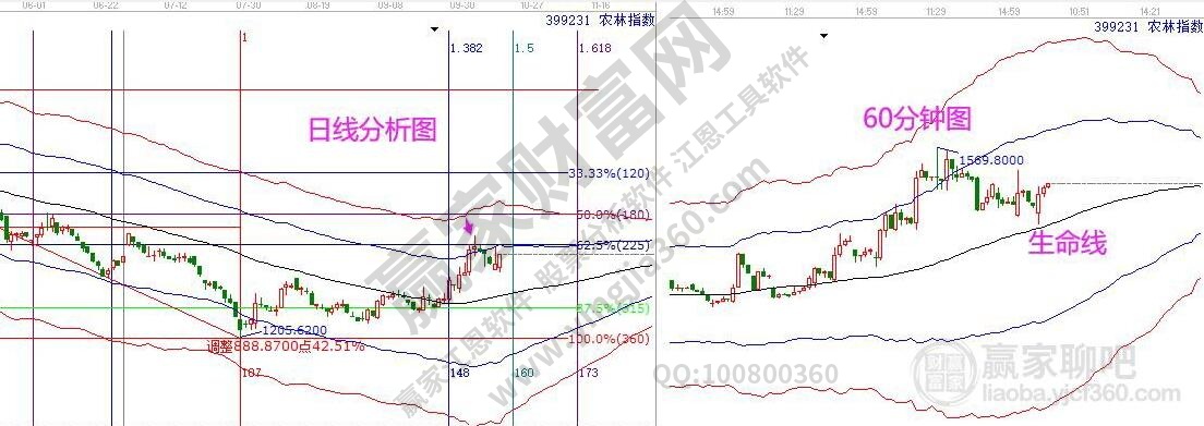 農林牧漁分析